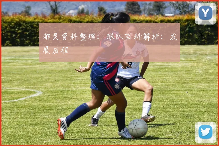 都灵资料整理:球队百科解析:发展历程