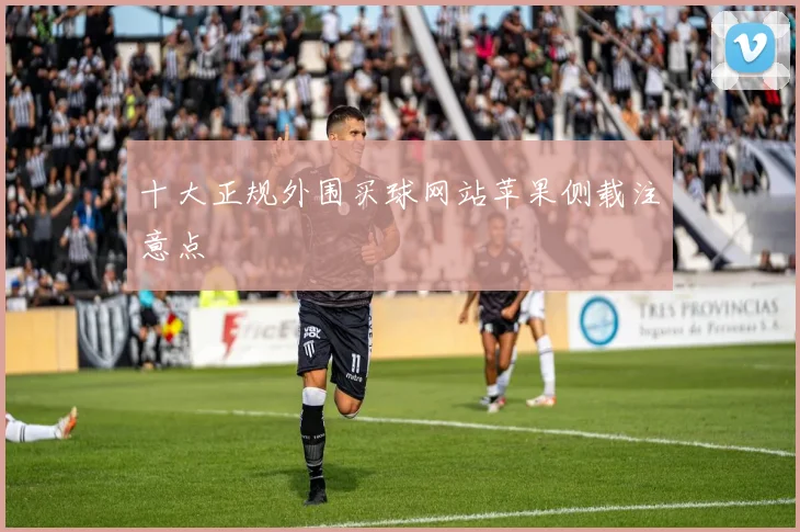 十大正规外围买球网站苹果侧载注意点